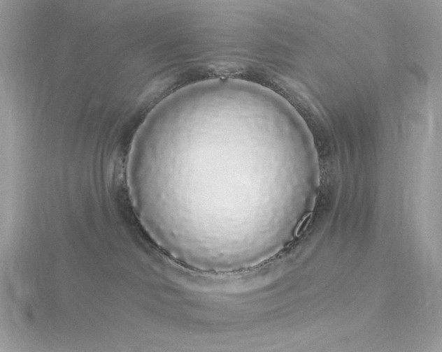 X0000116040046200912041821