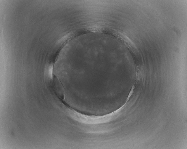 X0000116040047200912041821