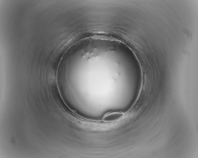 X0000116040048200912041821