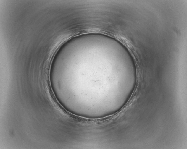 X0000116040049200912041820