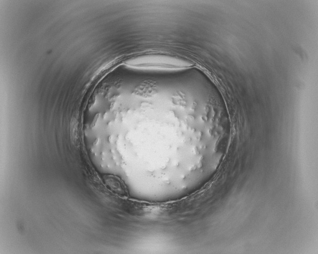 X0000116040050200912041820