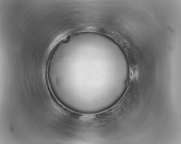 X0000116040051200912041820