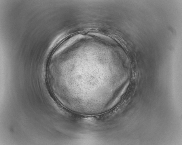 X0000116040053200912041820