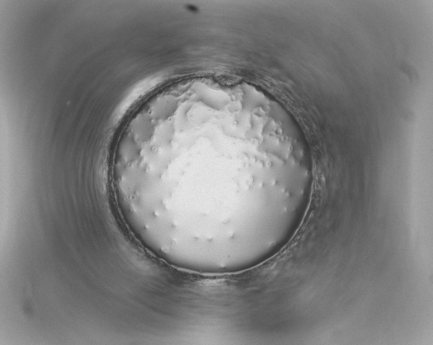 X0000116040054200912041820