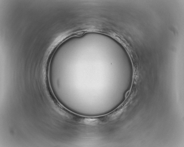 X0000116040055200912041820