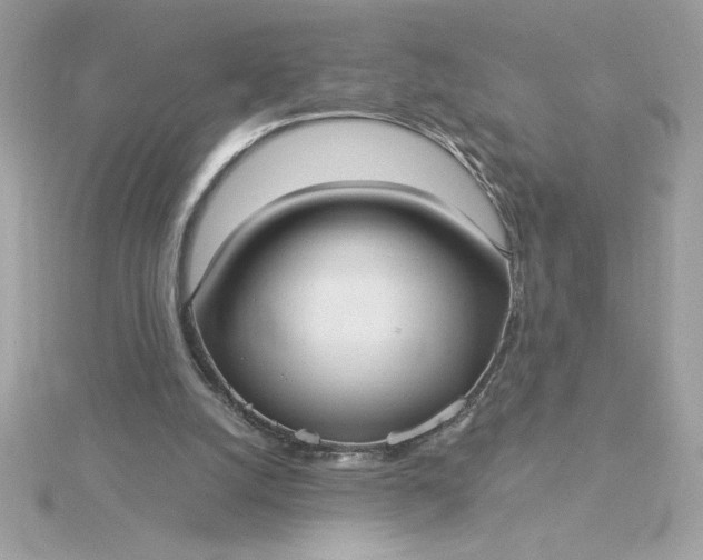 X0000116040056200912041820