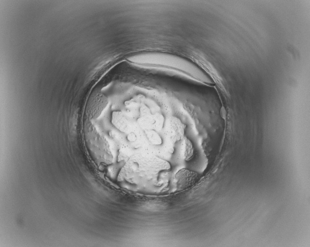 X0000116040058200912041820