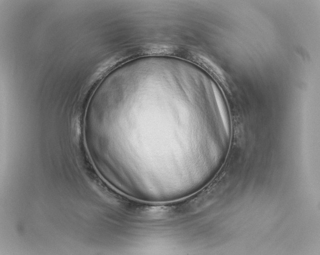 X0000116040059200912041820