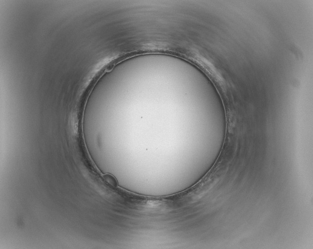 X0000116040060200912041820