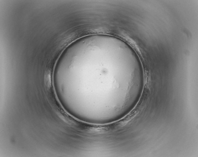 X0000116040061200912041820