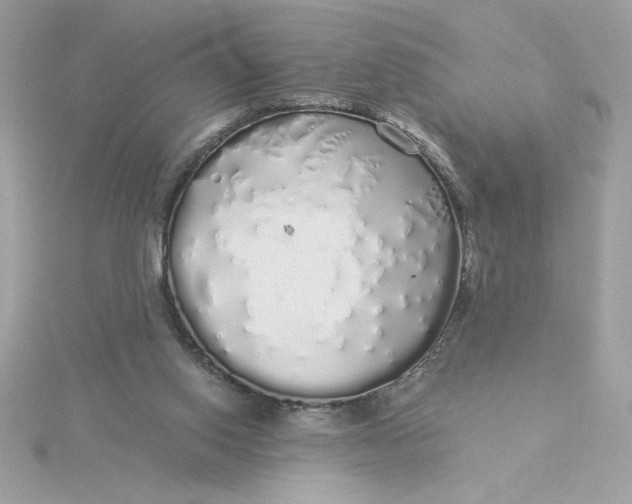 X0000116040062200912041820