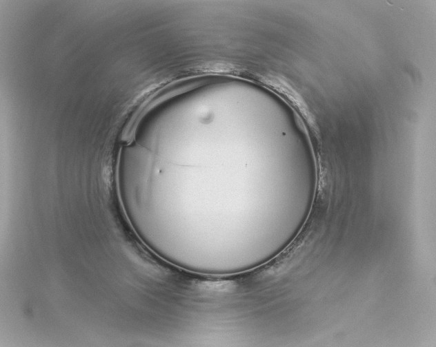 X0000116040063200912041820