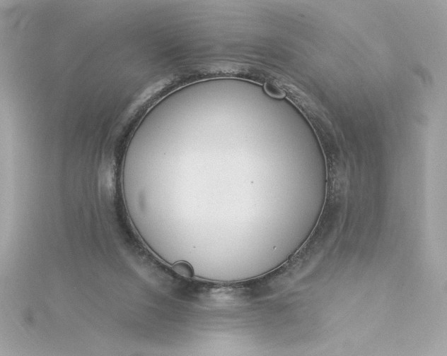 X0000116040064200912041820