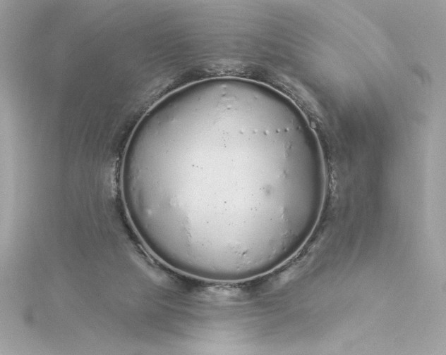 X0000116040065200912041820