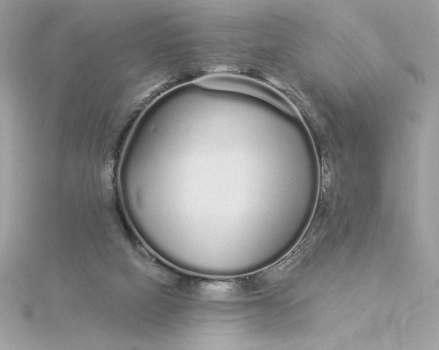 X0000116040066200912041820