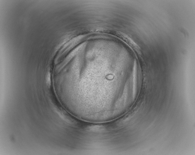 X0000116040067200912041820