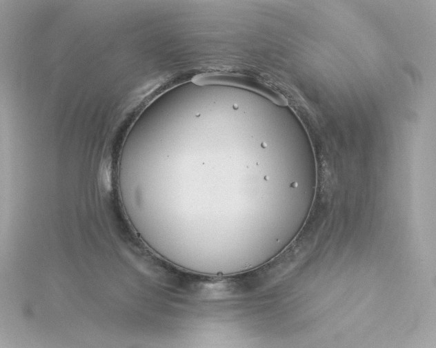 X0000116040068200912041820