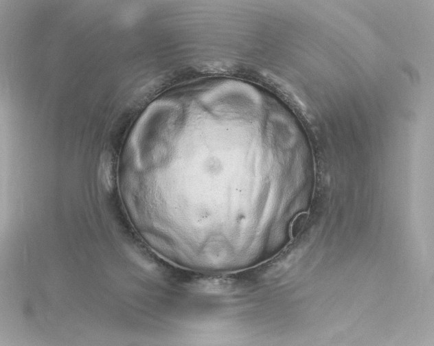 X0000116040069200912041820