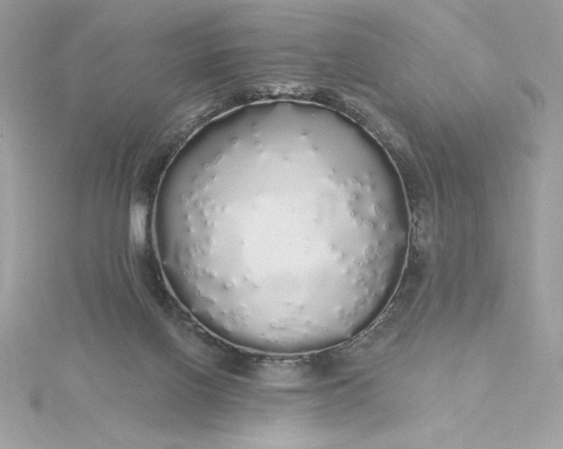 X0000116040070200912041820