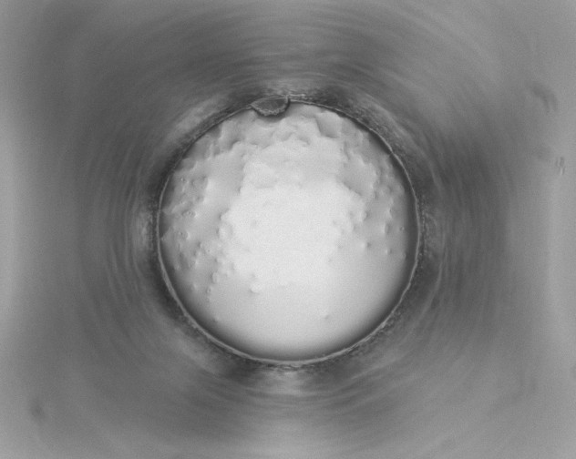 X0000116040071200912041821