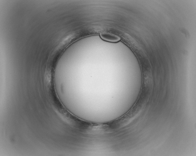 X0000116040072200912041821