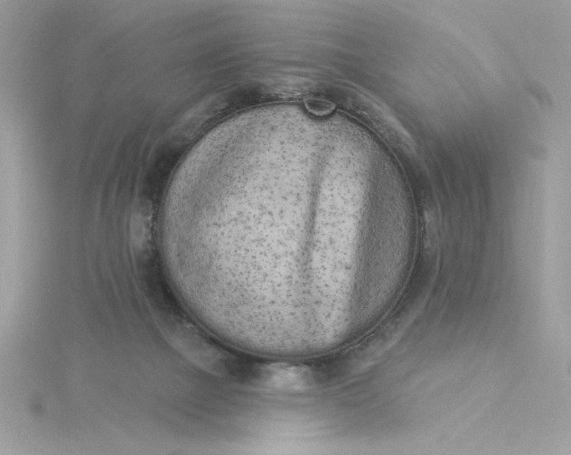 X0000116040073200912041821