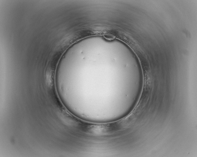 X0000116040074200912041821