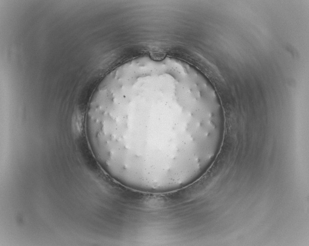 X0000116040075200912041821