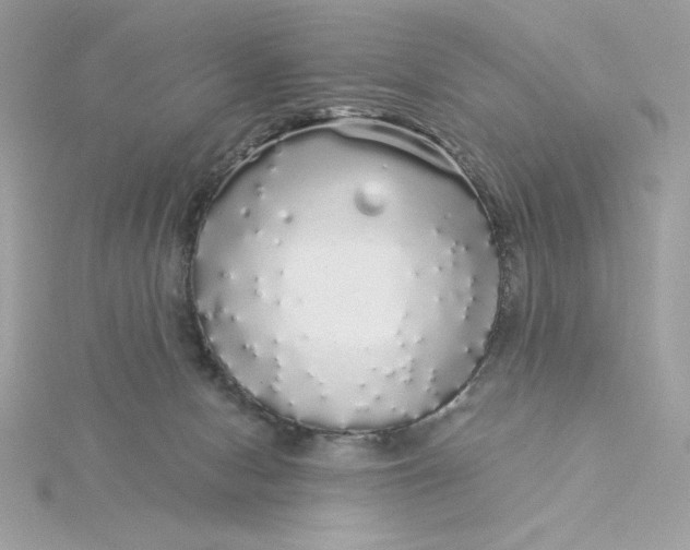 X0000116040078200912041821