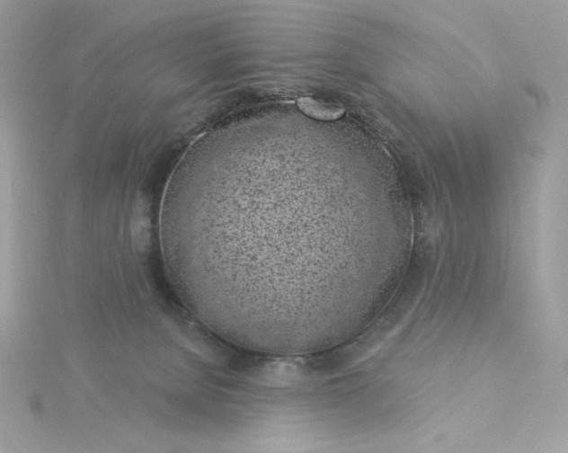 X0000116040080200912041821