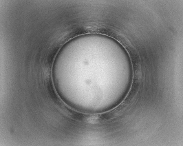 X0000116040081200912041821