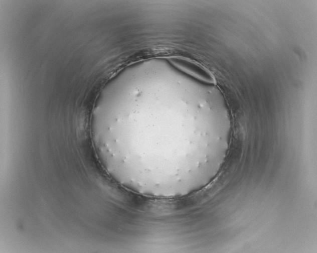 X0000116040082200912041821