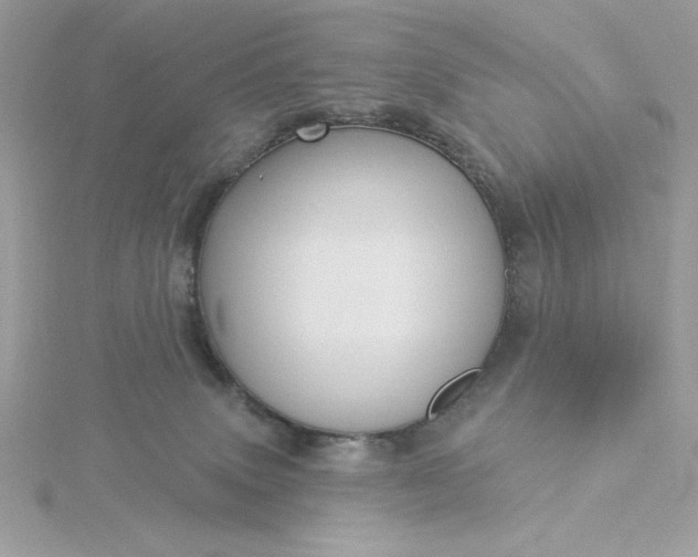 X0000116040083200912041821