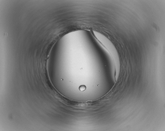 X0000116040084200912041821