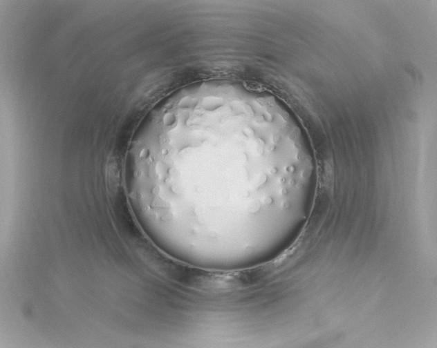 X0000116040086200912041821