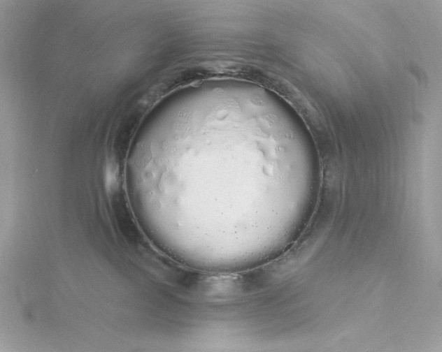 X0000116040089200912041821