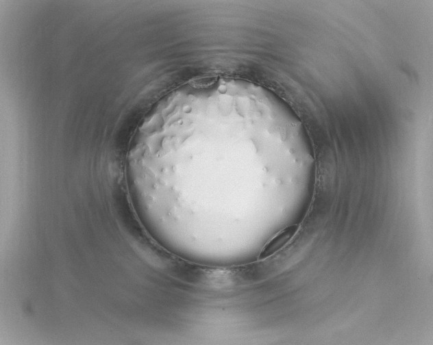 X0000116040091200912041821