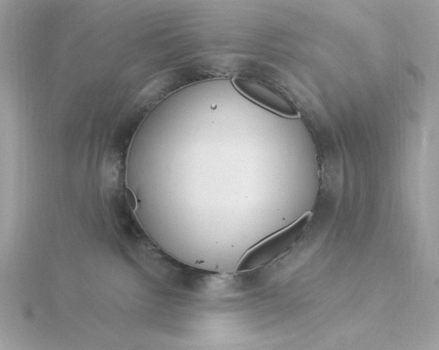 X0000116040092200912041821