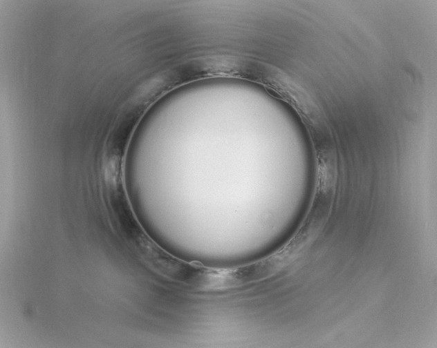 X0000116040093200912041821