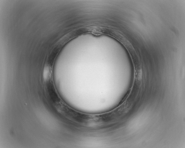 X0000116040095200912041821