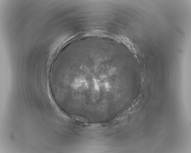 X0000116040097200912041820