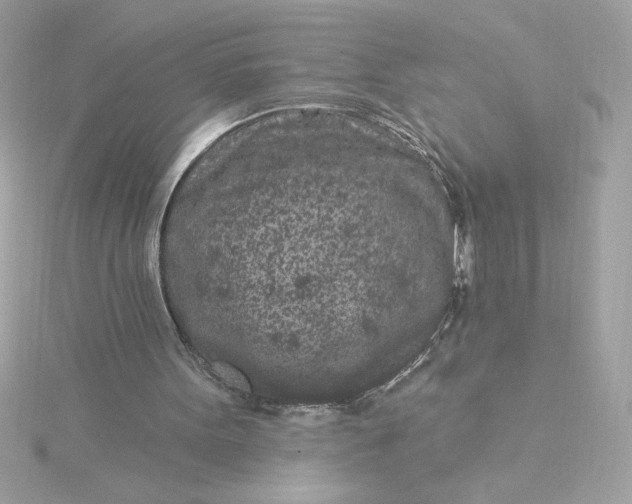 X0000116040099200912041820