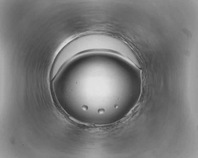 X0000116040100200912041820