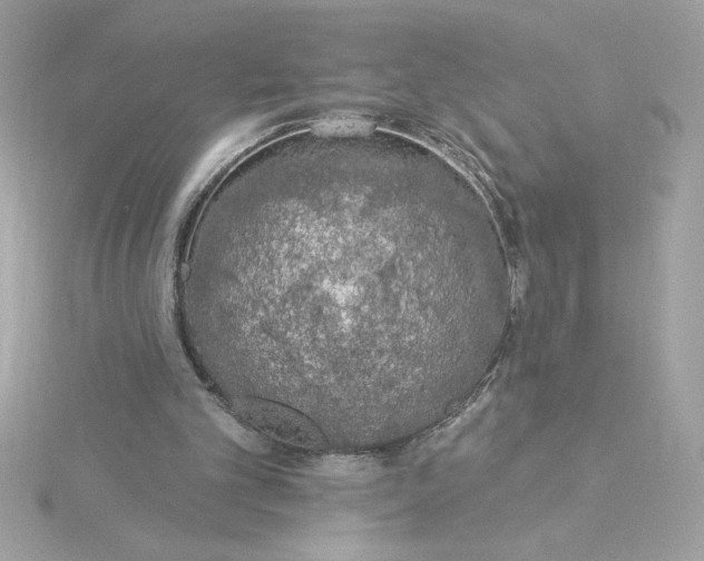 X0000116040101200912041820