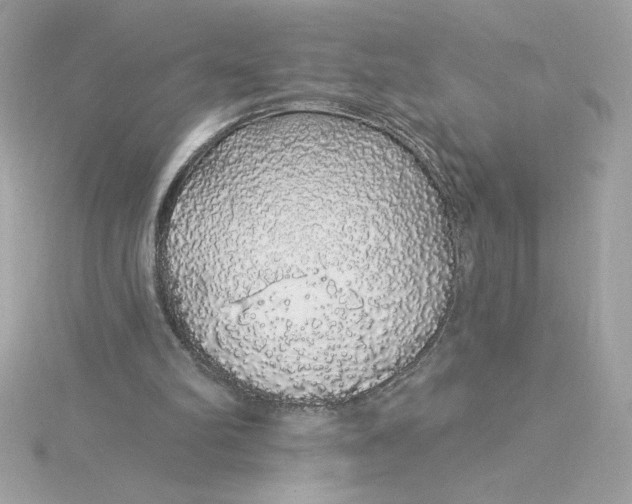 X0000116040102200912041820