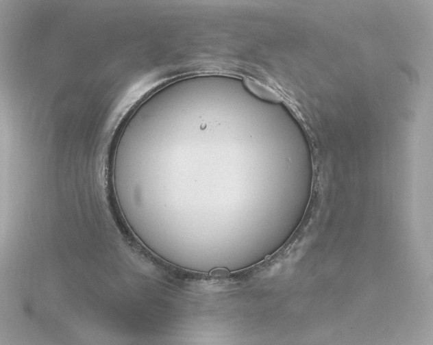 X0000116040103200912041820