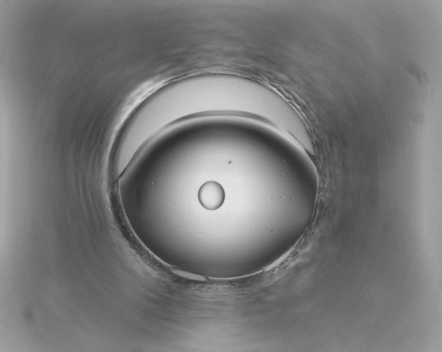 X0000116040104200912041820