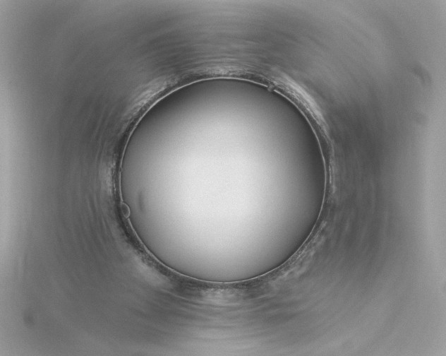 X0000116040105200912041820