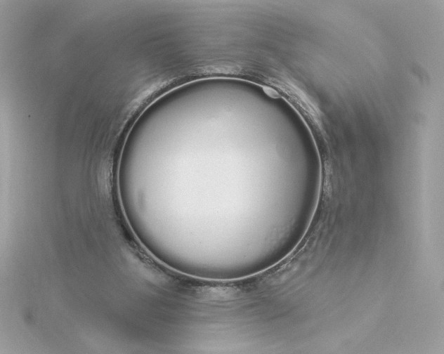 X0000116040107200912041820