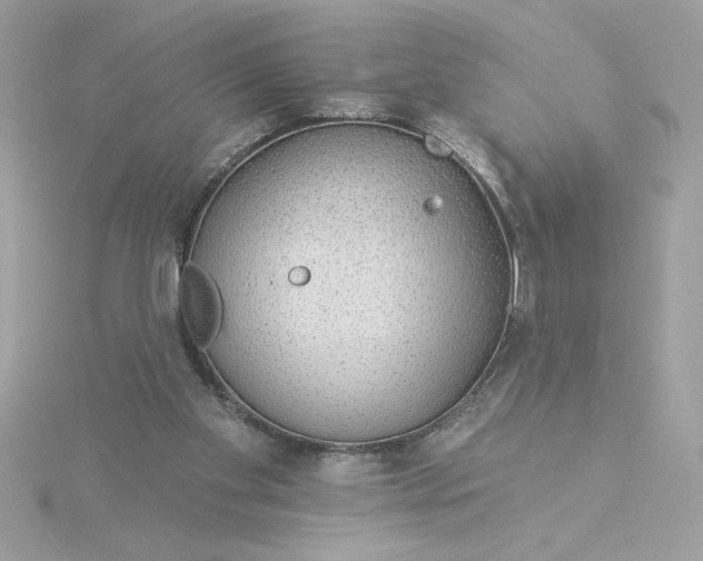 X0000116040109200912041820